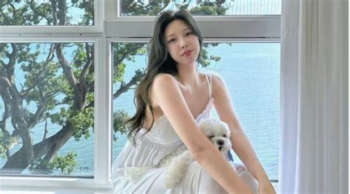 Choi Hyunmi Net Worth, Age, Height, Bio, Birthday, Wiki!