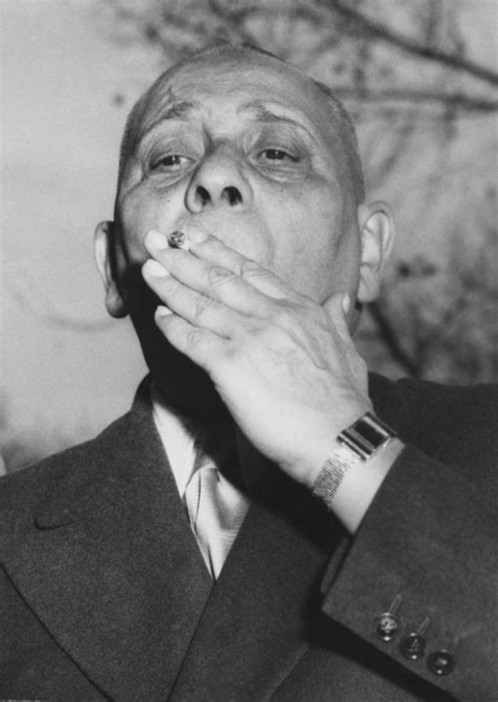 Erich Von Stroheim Net Worth, Age, Height, Bio, Birthday, Wiki!